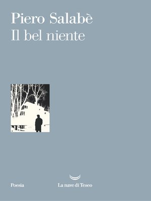 cover image of Il bel niente